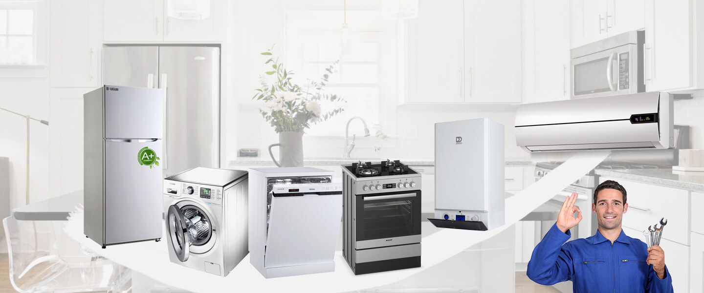 Bostanlı Electrolux Servisi